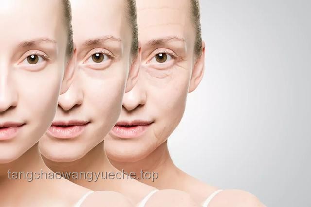 媳妇脸上的点和线：解锁未来美容科技新趋势